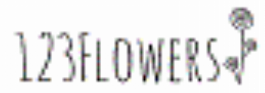 Kortingscode voor fleur hun dag op verse bloemen vanaf 19 99 met gratis bezorging de volgende dag bij 123 Flowers