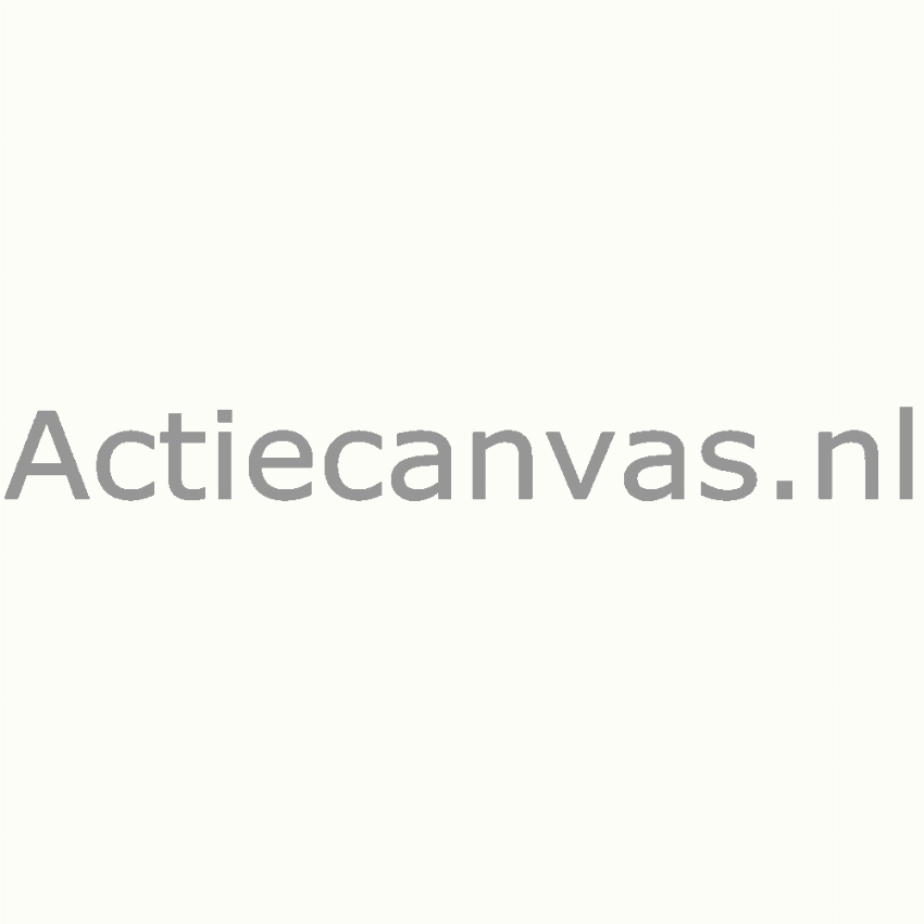 Actiecanvas
