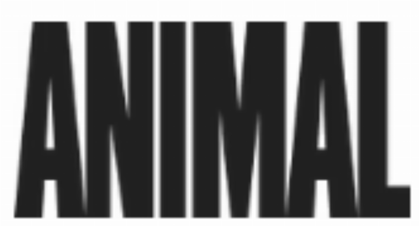 Kortingscode voor 10% korting op uw eerste bestelling wanneer u zich aanmeldt voor de mailinglijst bij Animal Pak