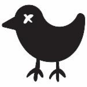 Kortingscode voor zwarte Vrijdag bij Bad Birdie