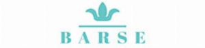 Kortingscode voor herfst 15% korting op de uitverkoop bij Barse Jewelry