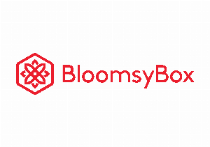 Kortingscode voor 5 korting bij aanmelding per e-mail bij BloomsyBox