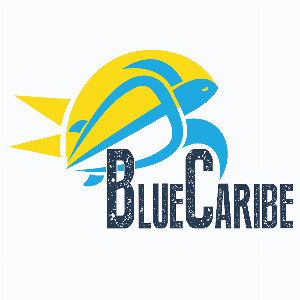 Kortingscode voor 10% off bij Blue Caribe Tours
