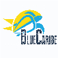 Kortingscode voor 10% off bij Blue Caribe Tours