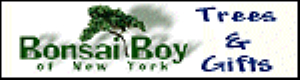 Kortingscode voor 10% Korting bij aankoop van 3 of meer bomen bij Bonsai Boy bij Bonsai Boy of New York