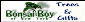 Kortingscode voor 10% Korting bij aankoop van 3 of meer bomen bij Bonsai Boy bij Bonsai Boy of New York