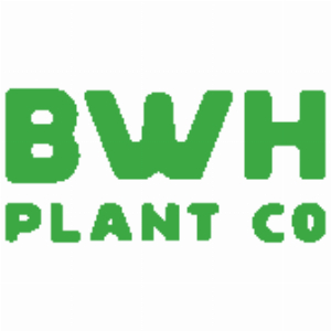 Kortingscode voor up to 30% korting voor All Houseplants Including Rare Tropicals bij BWH Plant Co