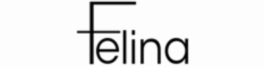 Kortingscode voor absorBRA - De All Day T-shirt-bh van Felina bij Designer Intimates