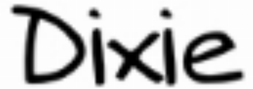 Kortingscode voor vERKOOP bij Dixie IT