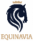 Kortingscode voor aanbieding van 20 Off Your First Order Over 100 bij Equinavia