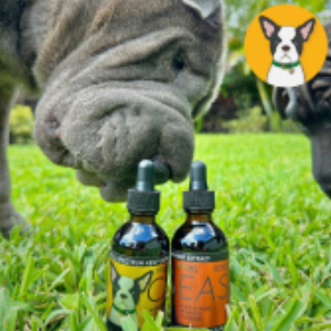 Kortingscode voor bespaar op uw eerste aankoop wanneer u zich abonneert op onze e-maillijst bij House of Alchemy d b a CBD Dog Health