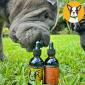 Kortingscode voor bespaar op uw eerste aankoop wanneer u zich abonneert op onze e-maillijst bij House of Alchemy d b a CBD Dog Health