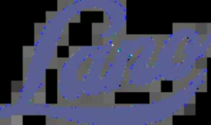 Kortingscode voor lentespecial gratis verzending bij bestellingen boven 40 bij Lanolips