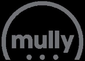 Kortingscode voor iMPACT20 bij Mullybox