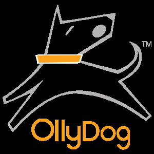 Kortingscode voor homepagina tekst bij Ollydog