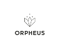 Kortingscode voor aanbieding van 20% OFF your first order at ORPHEUS bij ORPHEUS Skincare