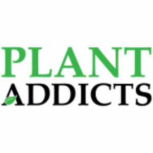 Kortingscode voor gratis verzending voor alle Plant Addicts Exclusives bij Plant Addicts Home Garden