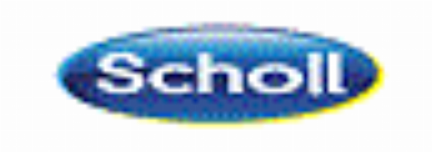 Kortingscode voor scholl Schoenen - Winteruitverkoop 30% bij Scholl IT