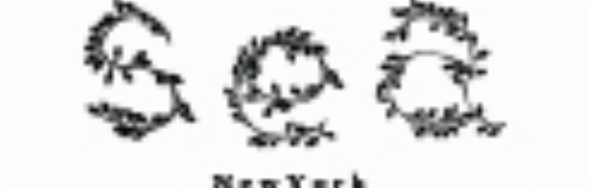 Kortingscode voor eindejaarsspecial gratis verzending over land bij Sea New York