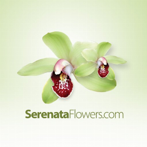 Kortingscode voor flash Sale Krijg 15% korting op het Twilight Bouquet - was 29 99 bij Serenata Flowers