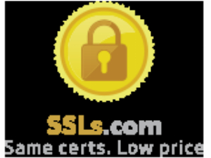 Kortingscode voor save big 47% korting wildcard ssl at ssls bij SSLs
