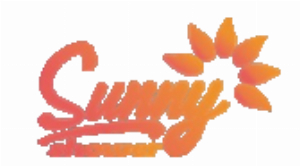 Kortingscode voor koop er 2 en ontvang 15% korting bij Sunny Shower Usa Inc