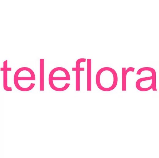 Kortingscode voor aanbieding van 10 off of 60 or more bij Teleflora