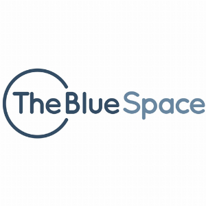 Kortingscode voor gratis verzending voor kleine artikelen boven de 100 bij The Blue Space