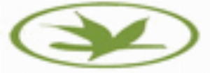 Kortingscode voor bespaar 6 op een Tea of the Month Club-abonnement van 3 maanden bij Verdant Tea