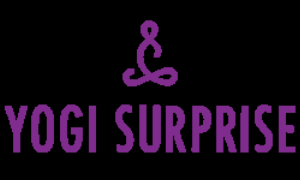 Kortingscode voor gebruik de code krijg 20% korting op je eerste box bij Yogi Surprise