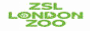Kortingscode voor familieticket - Bespaar tot 39 bij Zoological Society of London - London Zoo