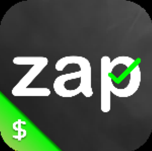 01 - Zap Surveys