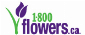 1-800-Flowers ca