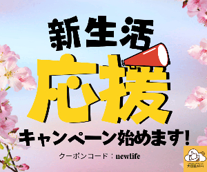 10GB 500GB WiFi 21-0726