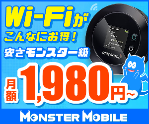 1800 Wi-Fi MONSTER ILE 24-0510