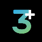 3plus international inc