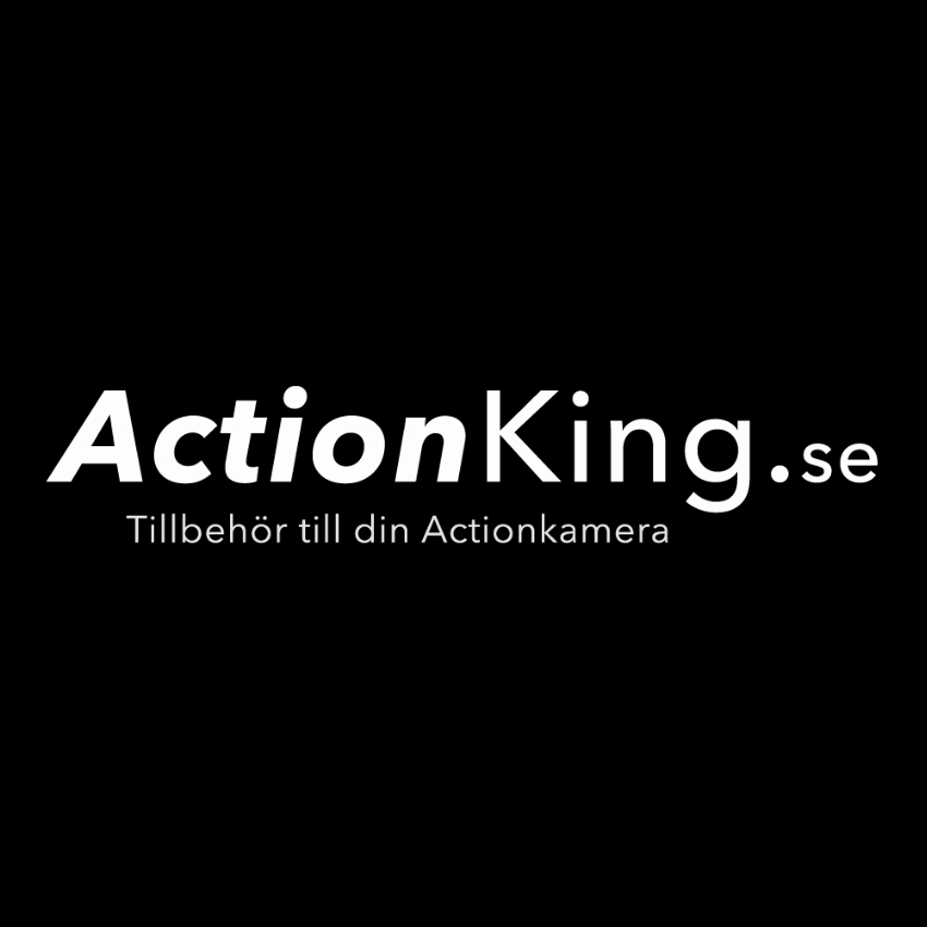 Actionking