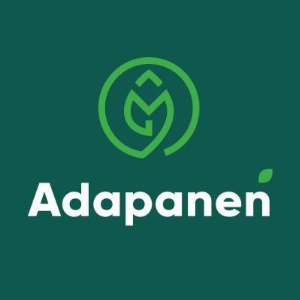 Adapanen ID - -Web-ID