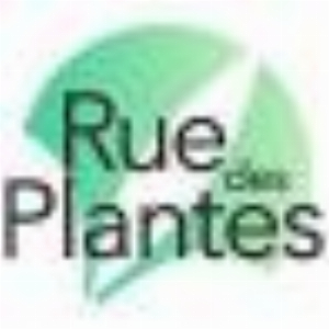 ADB Ruedesplantes Reporting 1day