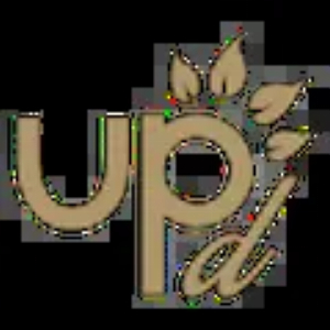 ADB Ultra Premium Direct Realtime