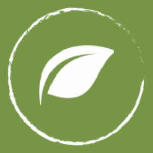 Affiliate Marketing
