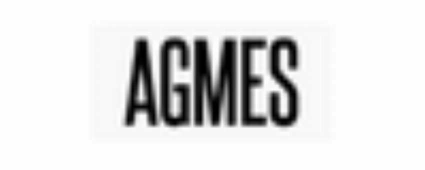 Agmesnyc