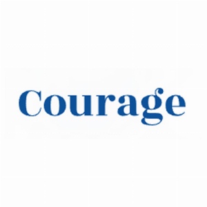 AL- Fly with Courage WW Realtime