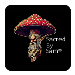 AL- Sacred By Sam Realtime