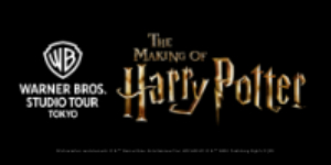AL- Warner Bros Studio Tour Realtime