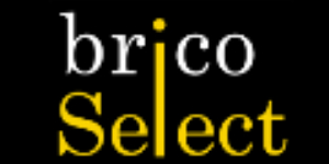 Alexis Robert Bricolage