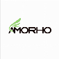 AMORHO MIRROR