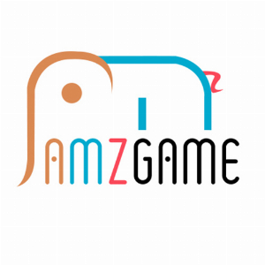 AMZGAME CO LIMITED