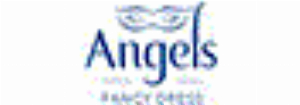 Angels Fancy Dress