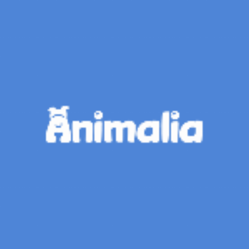 Animalia